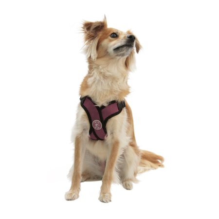 Gooby Choke Free Step-In Comfort X Dog Harness, Black