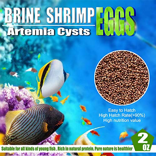 Sequoia Brine Shrimp Eggs for Aquatic Foods Baby & Fry Foods The Popular 90% Hatch GSL Brine Shrimp Eggs