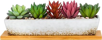 ARTKETTY Succulent Pots - Large Succulent Planters with Drainage Tray, 9.8 Inch Long Rectangular Planters for Indoor Plants Shallow Window Planters Ceramic Cactus Flower Plant Container for Garden