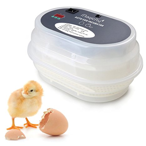 Magicfly Digital Fully Automatic 12 Eggs Incubator with Egg Turner Poultry Hatch