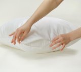 Set of 2 Standard Pillow Cases Cover