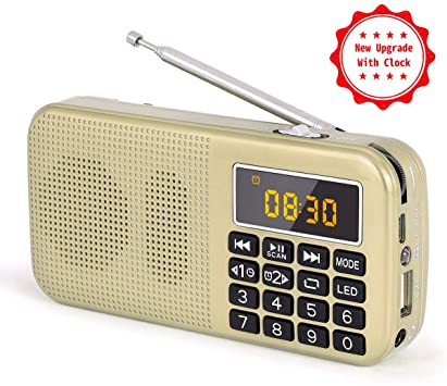 PRUNUS J-725C Portable Mini FM Radio Speaker Music Player USB Drive TF Card with LED Display, Alarm Clock, 3000 Rechargeable Battery, NO AM(Gold)