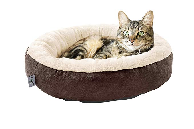 Love's cabin Round Donut Cat and Dog Cushion Bed, 20in Pet Bed For Cats or Small Dogs, Anti-Slip & Water-Resistant Bottom, Super Soft Durable Fabric Pet Supplies, Machine Washable Luxury Cat & Dog Bed