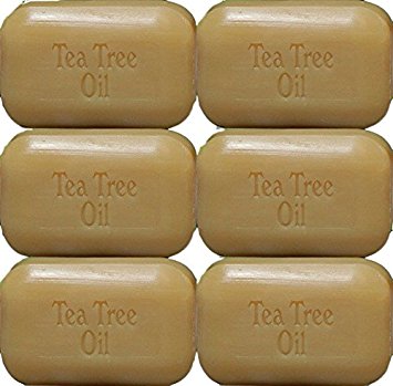 Soap Works Tea Tree Oil Soap Bar, 6-Count with Free Soap Works Natural Wood Soap Dish