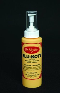 H W NAYLOR BKP Antiseptic Spray, 4 oz