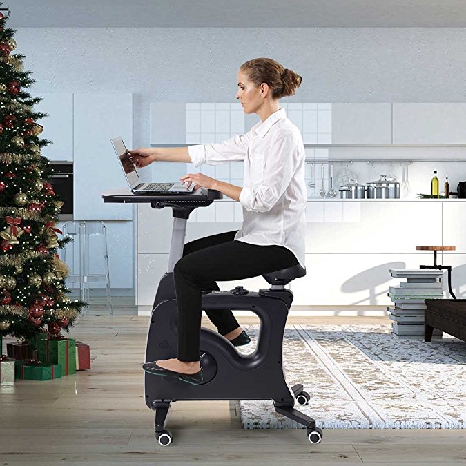 Flexispot Standing Desk Exercise Bike Home Office Furniture Desk