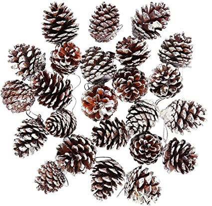 Cooraby 24 Pieces Snow Christmas Pine Cones Ornament Natural PineCones With String Pendant Crafts for Gift Tag Christmas Tree Party Hanging Decoration