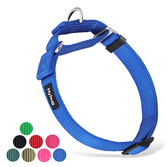 Hyhug Pets Premium Upgraded Heavy Duty Nylon Anti-Escape Martingale Collar for Boy and Girl Dogs Comfy and Safe - Professional Training, Daily Use Walking.