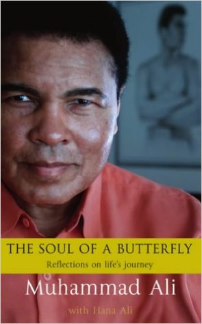 The Soul of a Butterfly: Reflections on Life's Journey