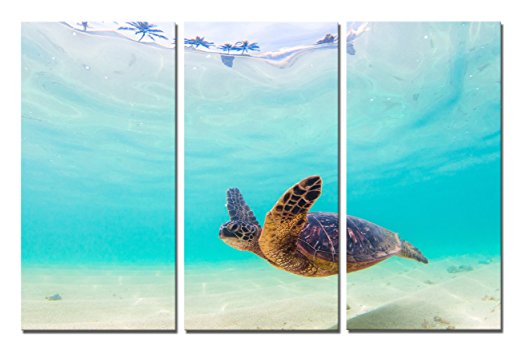Yin Art- 3 Panels Green Sea Turtle Canvas Prints, Blue Seascape Wall Art Modern Underwater World Artwork 30x60cm