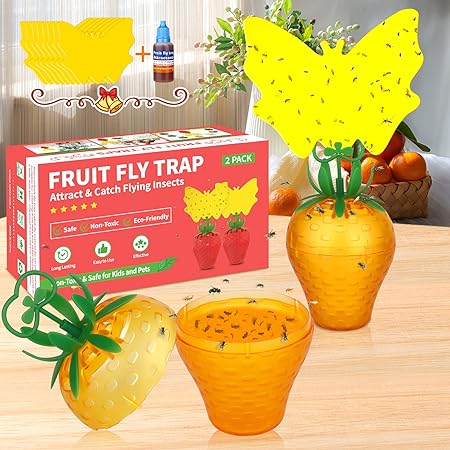 Fruit Fly Traps with 8Pcs Sticky Pads,Effective Gnat Traps for House Indoor,Fruit Fly Killer Fly Catcher,Non-Toxic Reusable Gnat Killer Comes with Fruit Fly Attractant for Home,Plant,Kitchen(2 Pack)