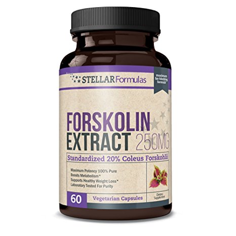 Stellar Formulas Forskolin Root Extract, 20% Standardized, 60 Count