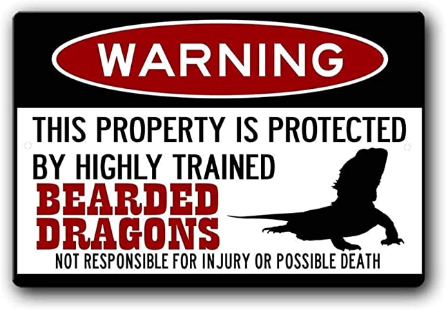 AVIGOR Bearded Dragons Sign,Funny Metal Signs,Bearded Dragon Accessories,Lizard Warning Sign Metal Sign 8 X 12 Inches