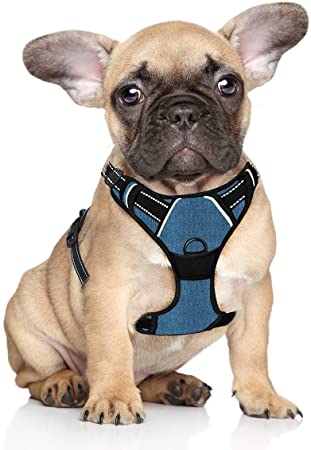 BARKBAY No Pull Dog Harness Large Step in Reflective Dog Harness with Front Clip and Easy Control Handle for Walking Training Running