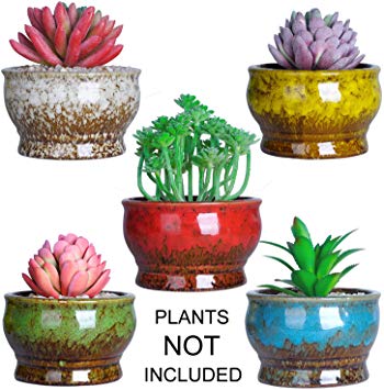 4.3 Inch Cute Ceramic Succulent Planters Cactus Pots Modern Mini Glazed Flower Plants Containers Tiny Pots with Drainage Perfect for Desk or windowsill, Pack of 5