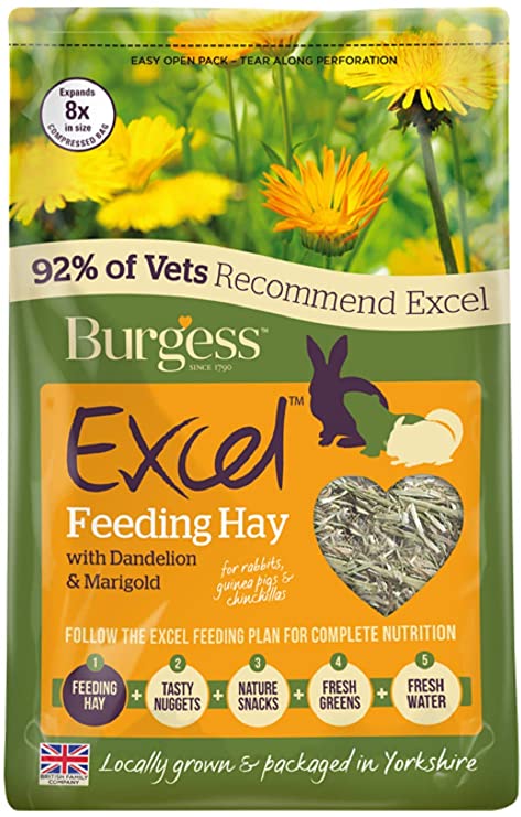 Burgess Excel Feeding Hay with Dandelion and Marigold 1kg