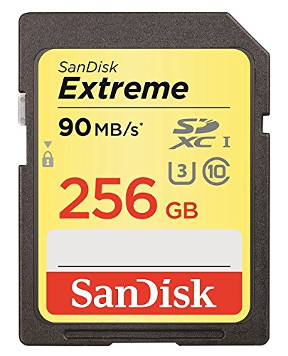 SanDisk Extreme 256 GB SDXC Class 10 Memory Card up to 90 Mbps with U3 Ratings - Black