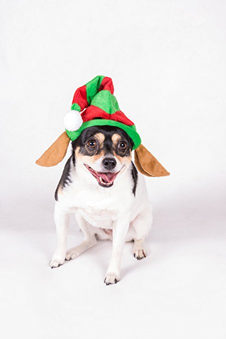 Puppy Dog Christmas Elf Hat | Perfect for Many Breeds and Sizes | Red and Green Striped Santa's Helper Pet Hat with White Pom Pom and Elf Ears | Measures 7" x 9"