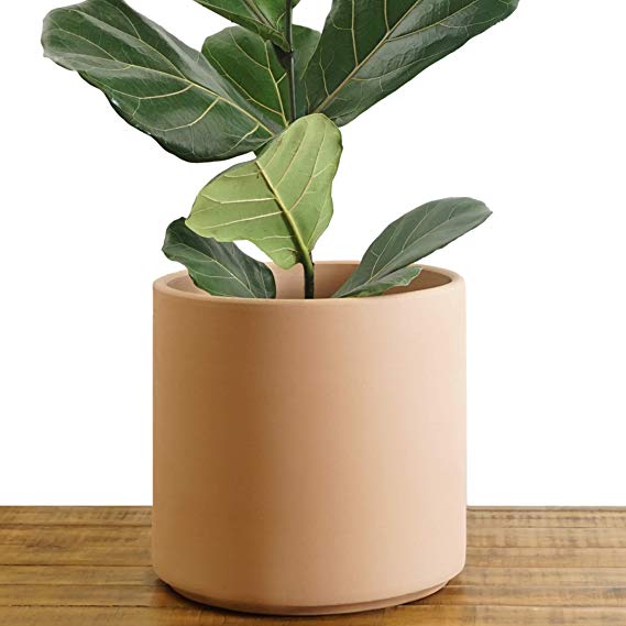 Indoor Flower Pot | Large Modern Planter, Terracotta Ceramic Plant Pot - Plant Container Great for Plant Stands (6.5 inch, Blush)