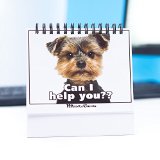 Funny Gag Gifts - Doggy Moodycards Great Cubicle Accessories - Make Everyone Laugh with These Lovable Pets - Let These Hilarious Dog Pictures Tell Everyone How You Feel - The Ultimate Gag Sure to Brighten Everybodys Day - Express Yourself Without Saying a Word -Take the Stress Away with Good Vibes and Huge Smiles - Fun Hilarious Useful and Adorable - A Great Office Gift - 20 Different Moods and Messages - Order Risk Free