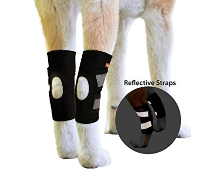 NeoAlly Dog Hind Leg Ankle Braces [PAIR] Canine Rear Hock Sleeves with Safety Reflective Straps for Injury and Sprain Protection, Wound Healing and Loss of Stability from Arthritis (Pair)