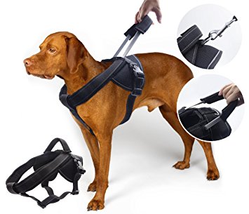 YOGADOG - Heavy Duty Dog Harness, Prevent Pulling, Soft Padded with Special Extended Integrated Short Leash Design, Reflective Stitching, For Medium and Large Dogs