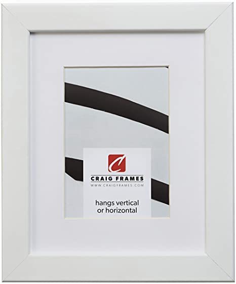 Craig Frames 26267 22 x 28 Inch White Satin Picture Frame Matted to Display an 18 x 24 Inch Photo