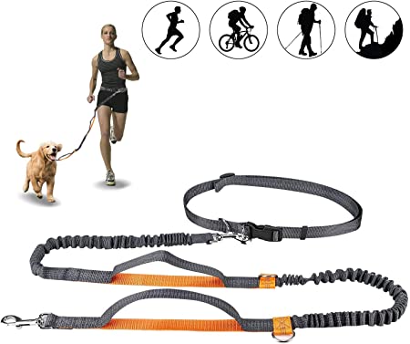 Allnice Hands Free Retractable Dog Leash 5ft-8ft with Dual Bungees for Puppy, Small & Medium Dogs 110Ibs, Adjustable Waist Belt 27"-47", Reflective Stitching Leash for Running Walking Hiking