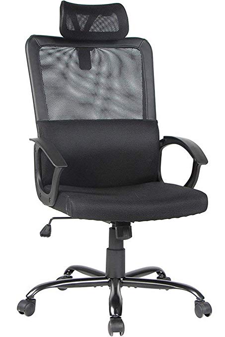 Smugdesk Ergonomic Office Chair High Back Mesh Office Chair Adjustable Headrest Computer Desk Chair for Lumbar Support, Black