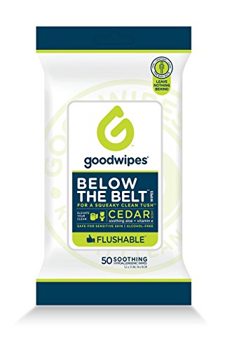 Goodwipes Flushable Men’s Cleansing Butt Wipes with Aloe, Vitamin E and Chamomile, 100% Biodegradable Dispenser Pack 1 pack, 50 count