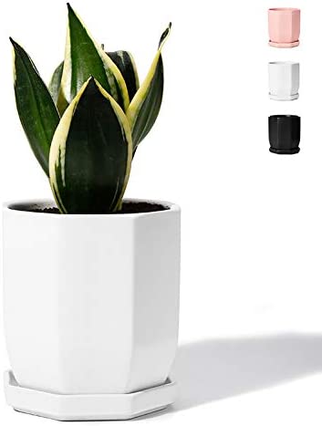 POTEY 050701 Geometric Ceramic Plant Pot White - 4.9 Inch Planter for Indoor Plants Flower Succulent with Drainage Hole & Saucer(Plant NOT Included)