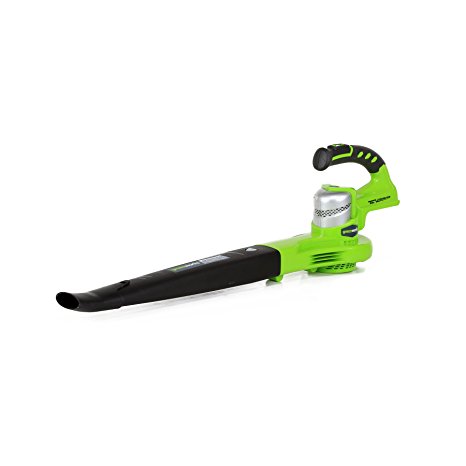 GreenWorks 2400202 G-24 Li-Ion Cordless 2-Speed Sweeper