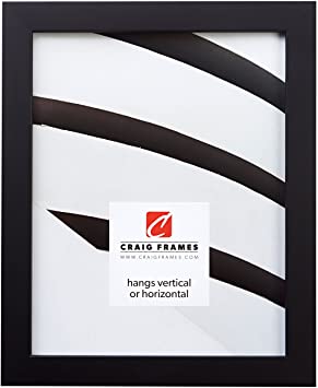 Craig Frames Confetti, Modern Black Picture Frame, 18 x 24 Inch