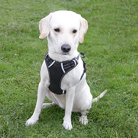Dog Harness, No Pull Dog Harness, Front Range Dog Harness, Adjustable, Outdoor, Pet Vest, 3M Reflective, Oxford Vest for Dogs, Easy Control, for Medium Large Dogs
