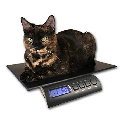ZIEIS | 70 Lb. Capacity | Digital Cat and Dog Scale | Z70P-DURA1216 | 12" X 16" BigTop Dura Platform | 0.5 Ounce Accuracy