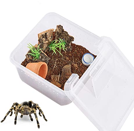PETLAOO Critter Keeper，Mini Insect Carrier, Portable, Ventilated, Enough Viewing Space, with 5 Accessories, Suitable for Spiders, Geckos, Cockroaches, Snails, Hermit Crabs