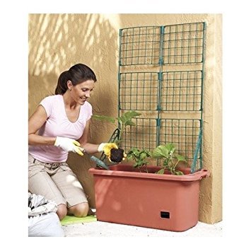 Vegetable Planter Box Comes with Trellis Mobile & Perfect for Home Garden Patch Patio & Self Watering Sale Watering Container Gardeners Will Love Growing Vegetable Plants Organic or Otherwise Since It Has Wheels and a Handle