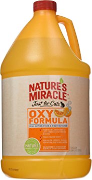 Orange Oxy Cat Stain and Odor Remover