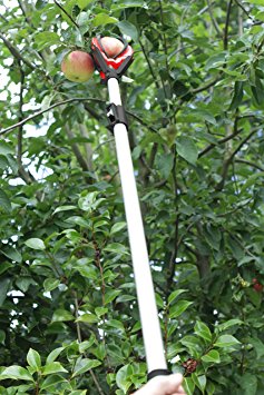 Darlac Telescopic Easy Reach Large Fruit Tree Apple/Pear Picker DP116