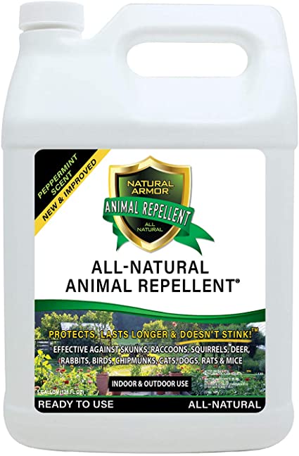 Natural Armor Animal & Rodent Repellent Spray. Repels Skunks, Raccoons, Rats, Mice, Deer Rodents & Critters. Repeller & Deterrent in Powerful Peppermint Formula – 128 Fl Oz Gallon Refill RTU