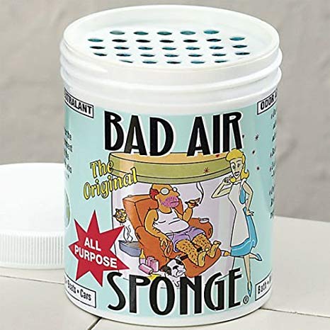 Bad Air Sponge Bad Air Sponge Odor Absorber
