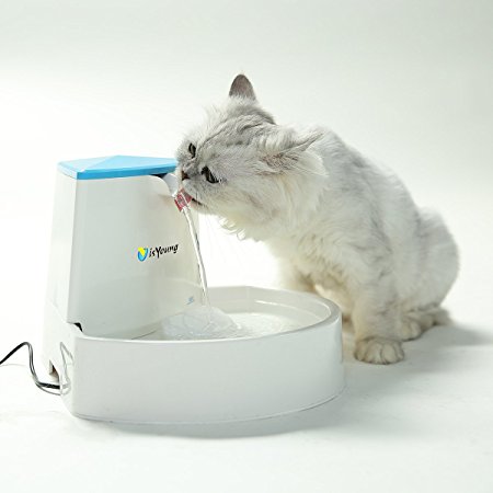 isYoung Pet Fountain Automatic Water Dispenser for Dogs and Cats, Healthy and Hygienic Dog Fountain