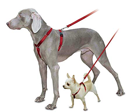 PetSafe Sure-Fit Harness, Adjustable Dog Harness from The Makers of The Easy Walk Harness