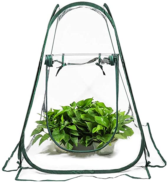 ValueHall Mini Greenhouse Pop up Grow House Backyard Garden Plant Tent Greenhouse Cover Outdoor Portable Backyard Flower Shelter V7094