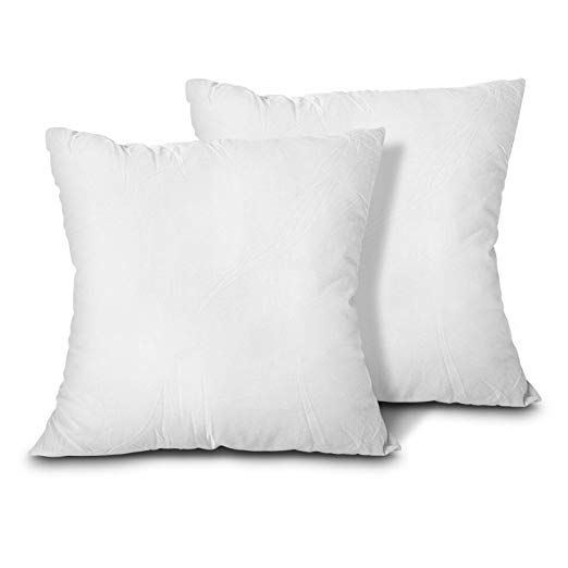 Edow Throw Pillow Inserts, Set of 2 Lightweight Down Alternative Polyester Pillow, Couch Cushion, Sham Stuffer, Machine Washable. (White, 28x28)