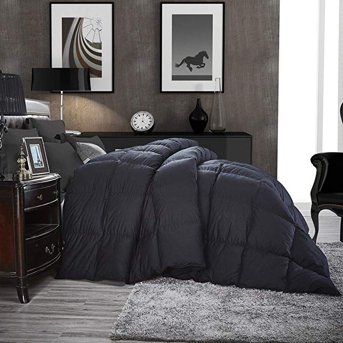 Luxurious All-Season Goose Down Comforter Queen Size Duvet Insert, Classic Black, Premium Baffle Box, 1200 Thread Count 100% Egyptian Cotton Cover, 750+ Fill Power, 55 oz Fill Weight (Queen, Black)