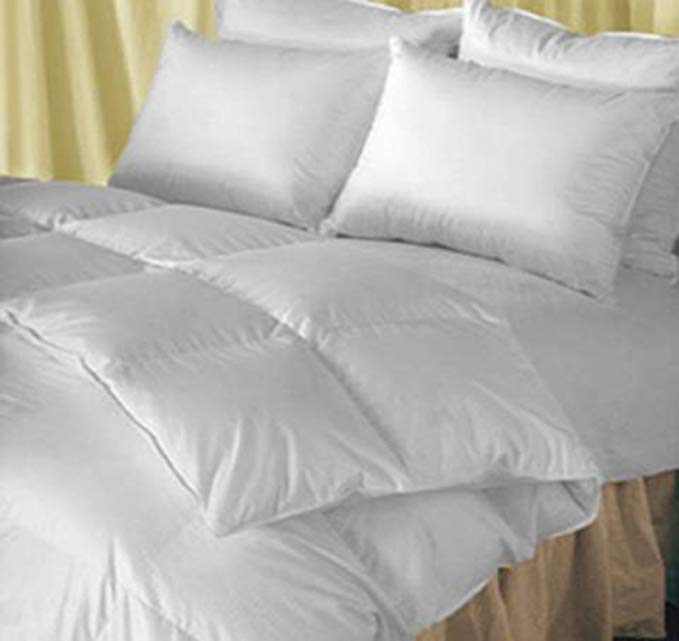 Natural Comfort Classic Heavy Fill Goose Down Alternative Duvet Insert Comforter, Twin X-Large, White