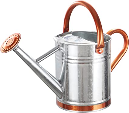1 Gallon Watering Can for Outdoor and Indoor Plants，Premium Galvanized Steel Watering Can with 2 Handles，Metal Flower Watering Can with Removable Sprinkler Head，Vintage Silver