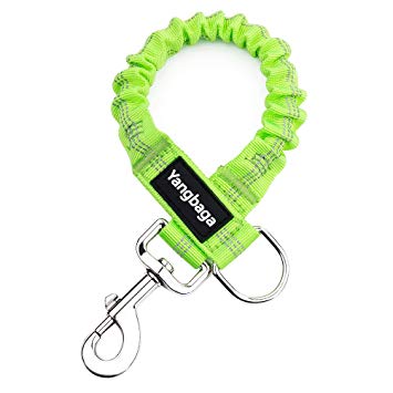 Yangbaga Dogs Shock Absorber, Elastic Buffer Extension leash with Bungee Shock for Pet, Prevent Injury on Arm and Shoulder & Absorb the Pull by Dogs, Great for Bicycle, Running, Walking etc. (Green)