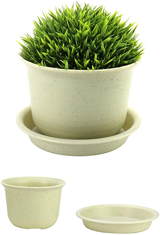 Plastic Plant Pots - Set of 10 | Bonsai Pots and Trays | Indoor and Outdoor Flower Pots | Set of Nursery Seedling Planters | Home Decor | Pukkr (Small)